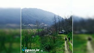طبیعت اطراف اقامتگاه گردشگری دنج - رشت - روستای براگور